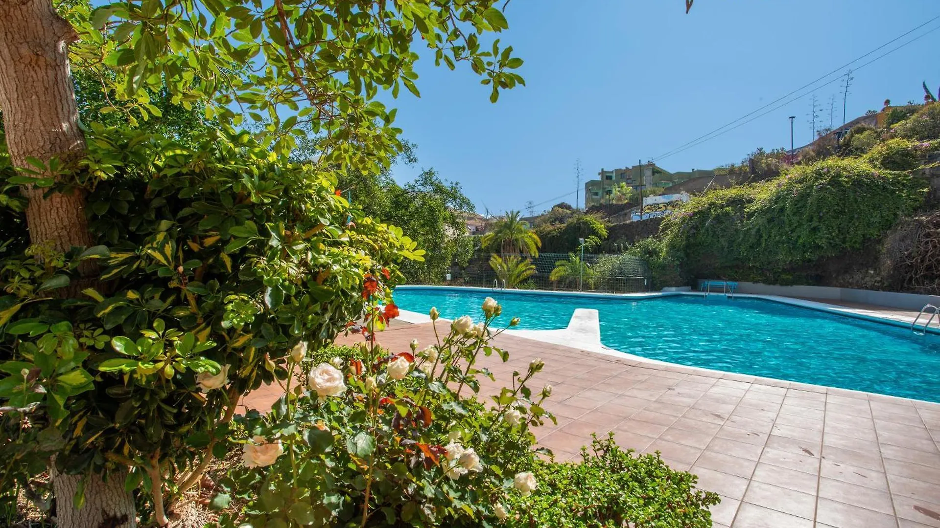 Apartamento Estudio Bel Air Puerto de la Cruz  España